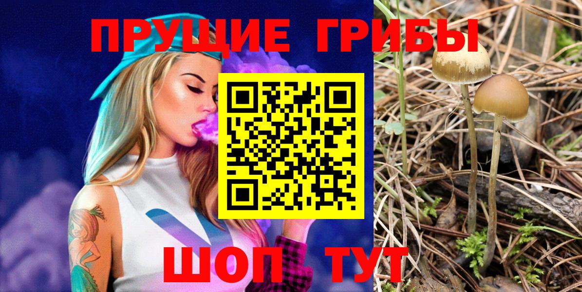 Галлюциногенные грибы Psilocybine cubensis  Вход с VPN  Псилоцибиновые грибы Cubensis  Сарапул 