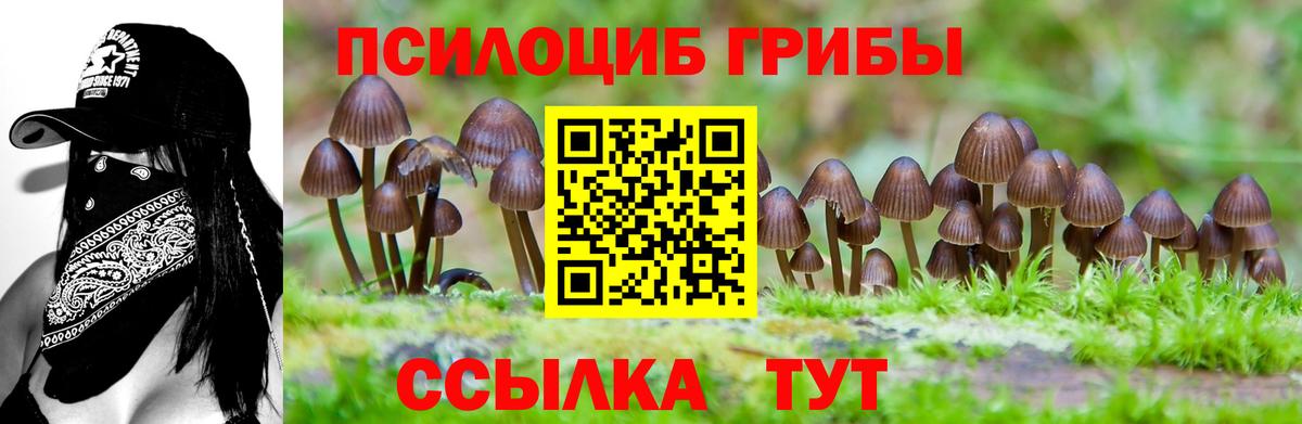 Псилоцибиновые грибы MAGIC MUSHROOMS Сарапул